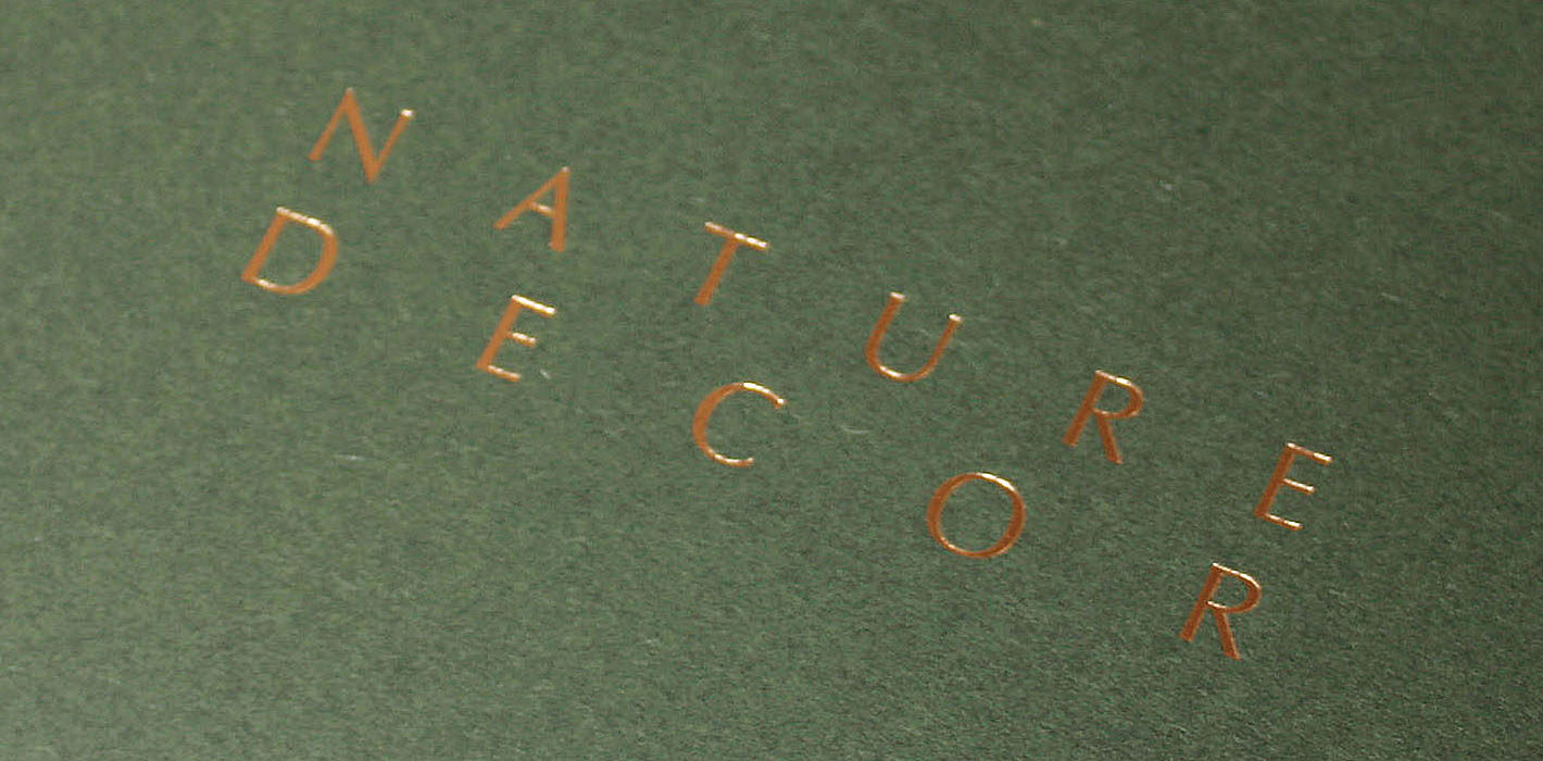 NATURE DECOR様04